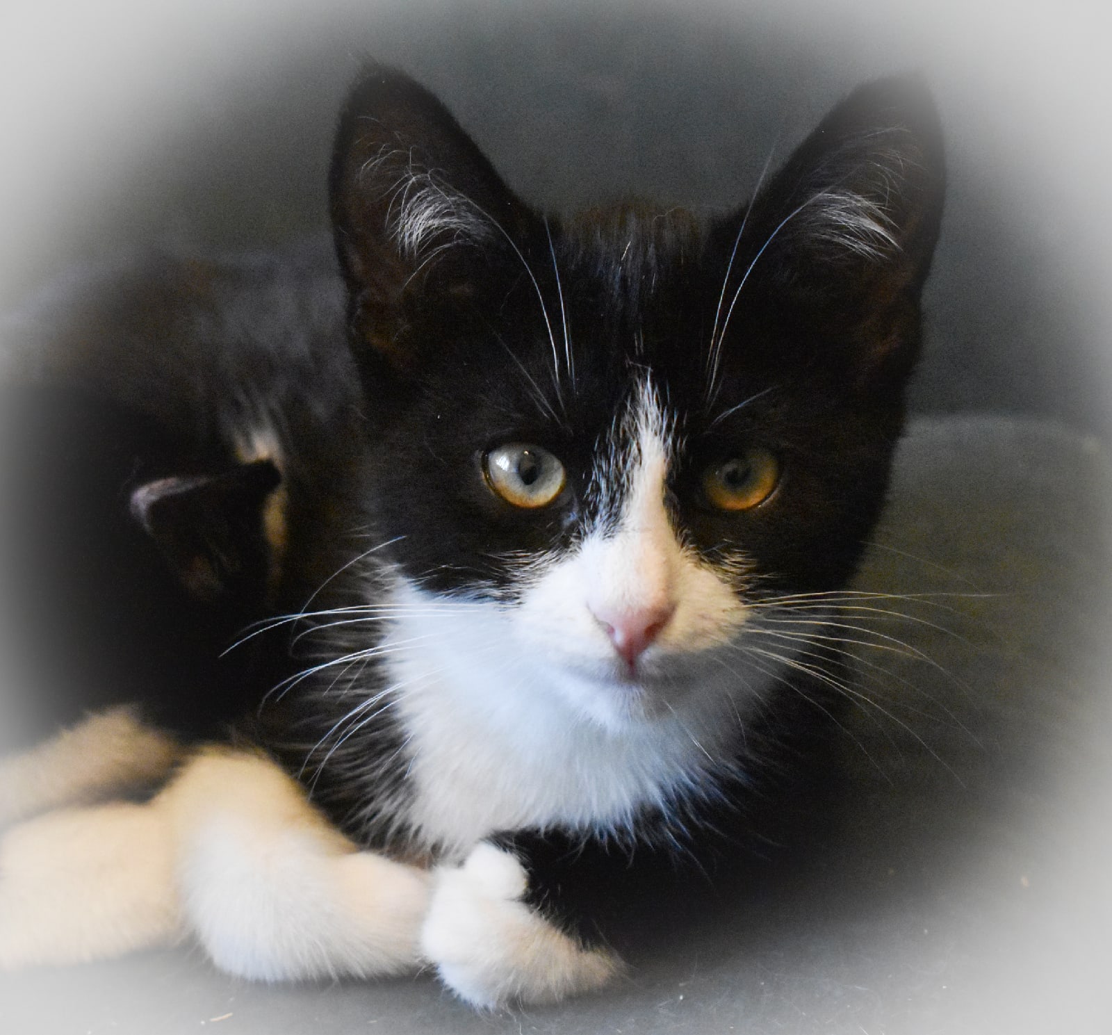 Вроде все дела переделали, когда же мной займётесь