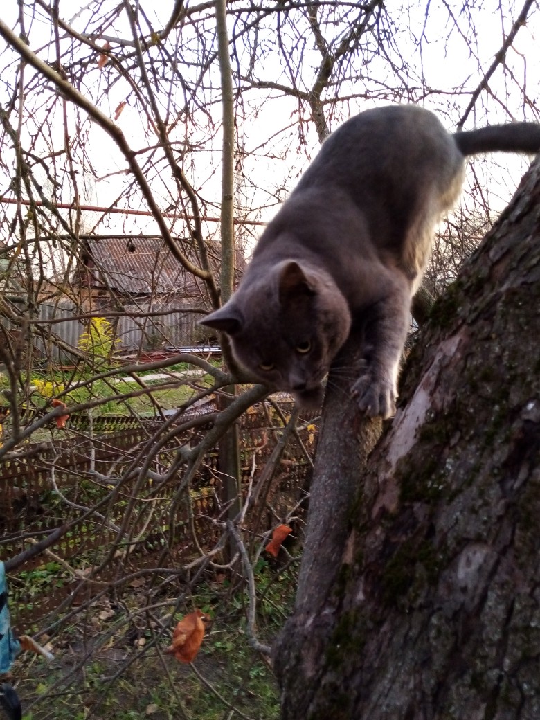 Подумаешь,немного птичек попугал, она сразу ругаться