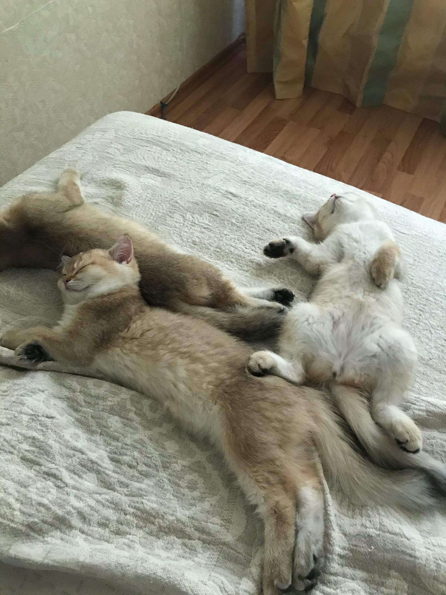 Умотались ребята