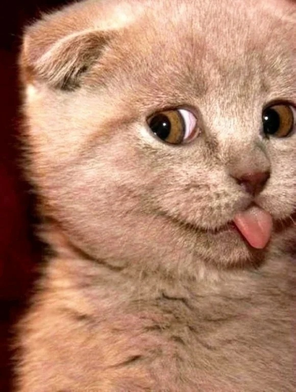 Игривое у меня сегодня настроение, хозяева держитесь