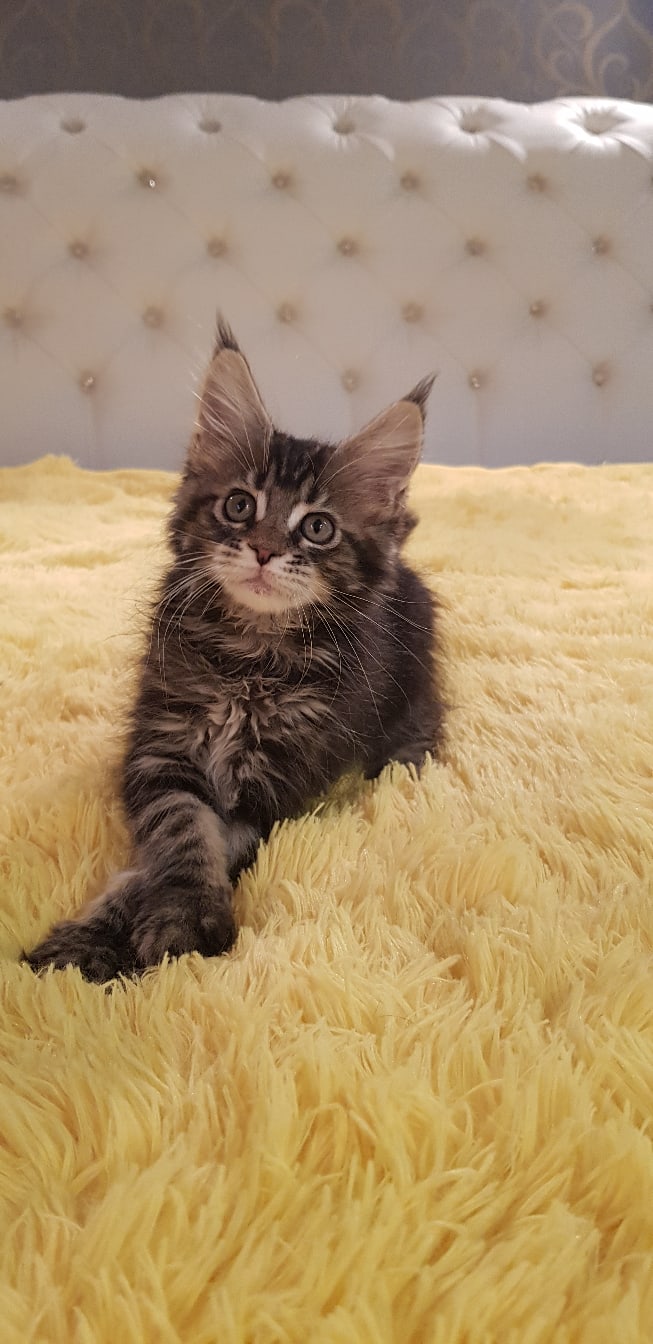 Устали, тогда вам сюда