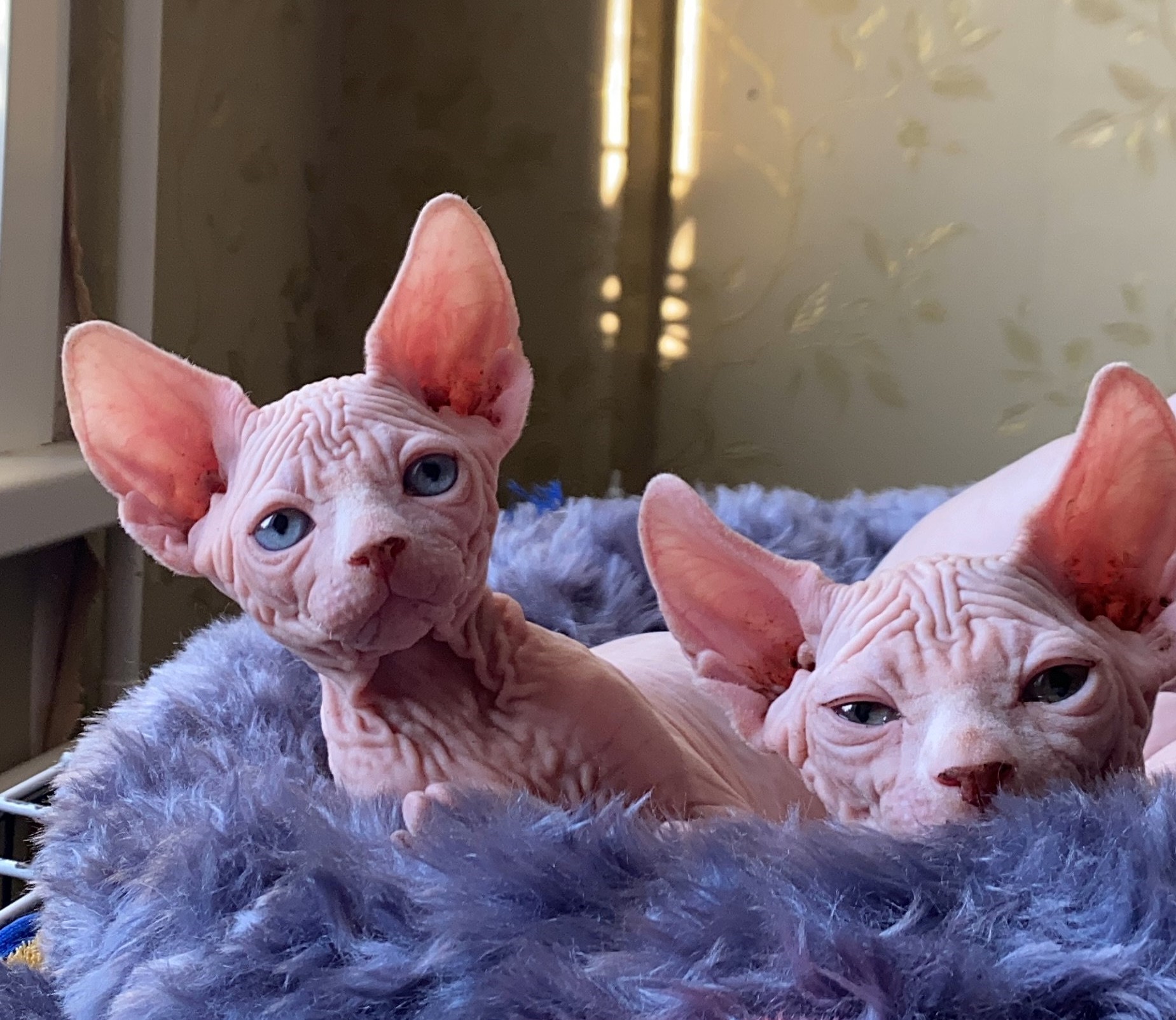 Мама сказала, что мы ещё полежим