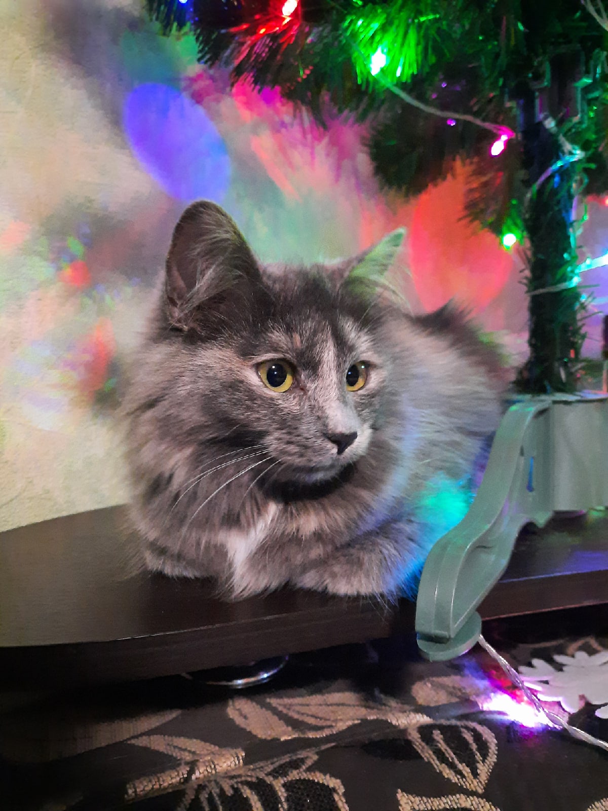 Ёлочку можете убирать,я наигрался