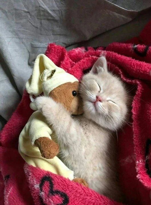 Спят, уставшие ребята