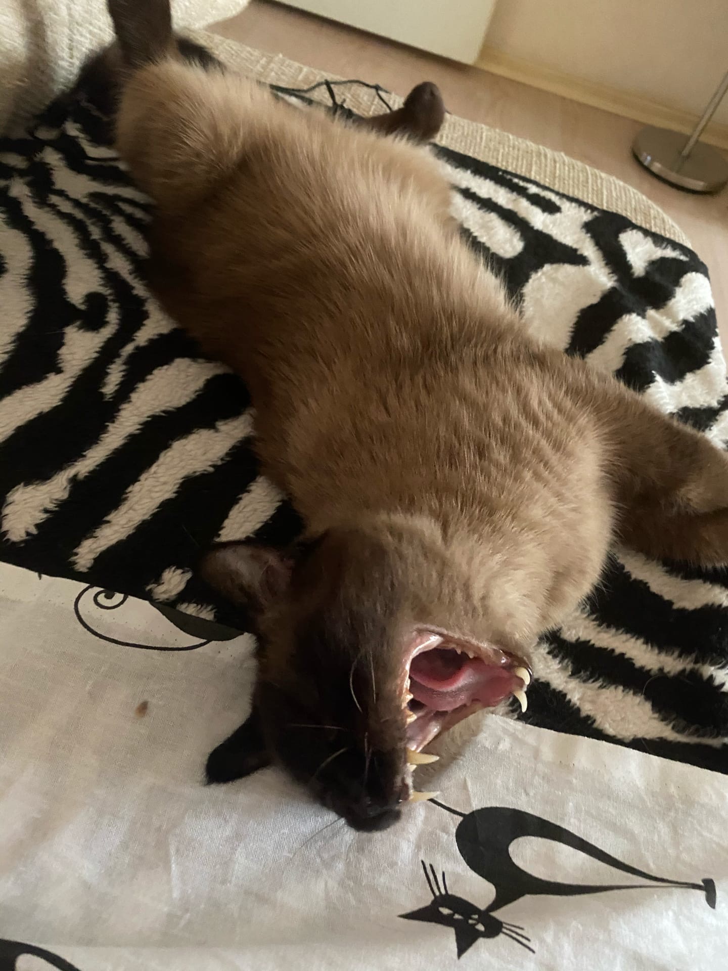 Морфей не отпускает, спать заставляет