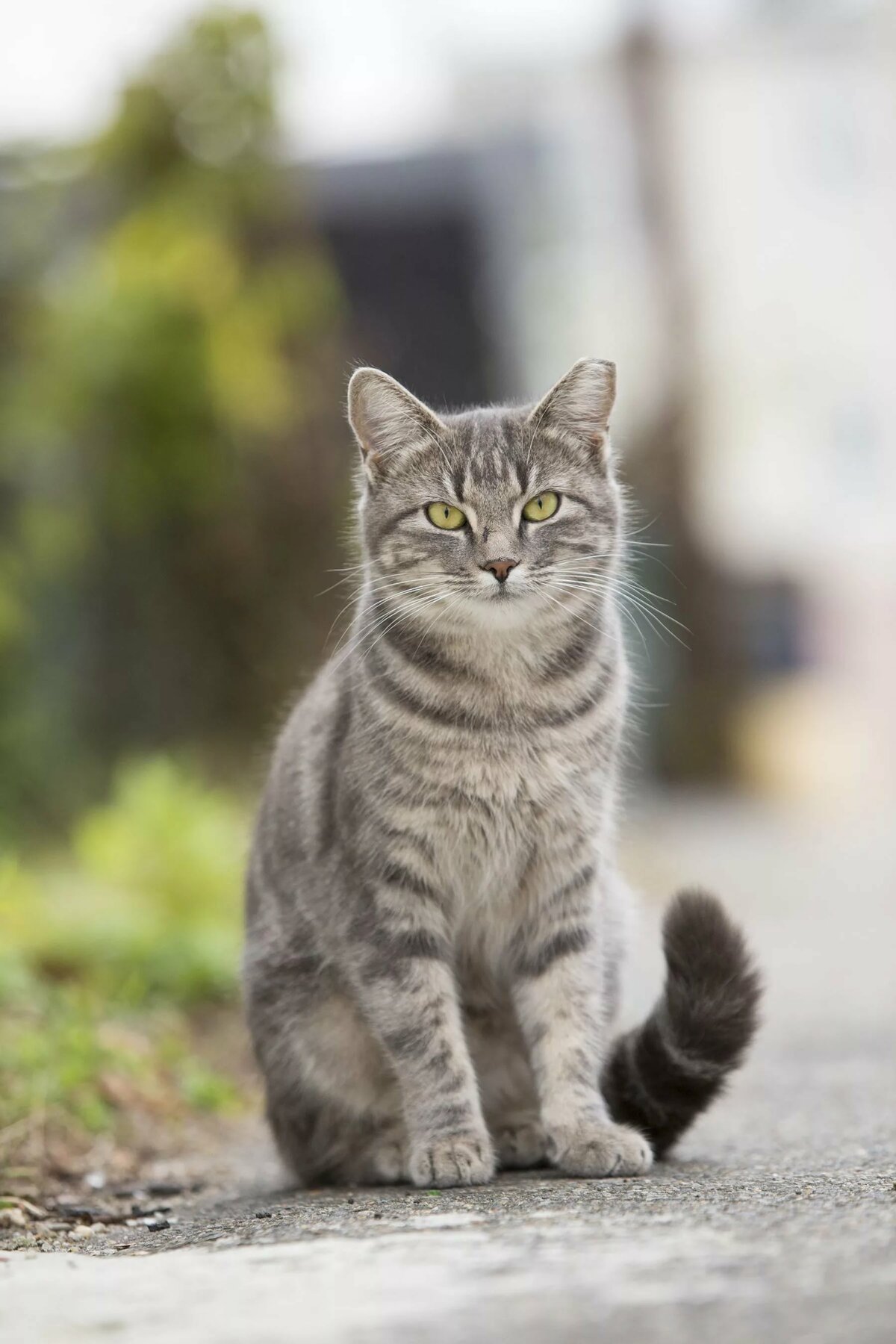 Дома не сидится, весна ж пришла