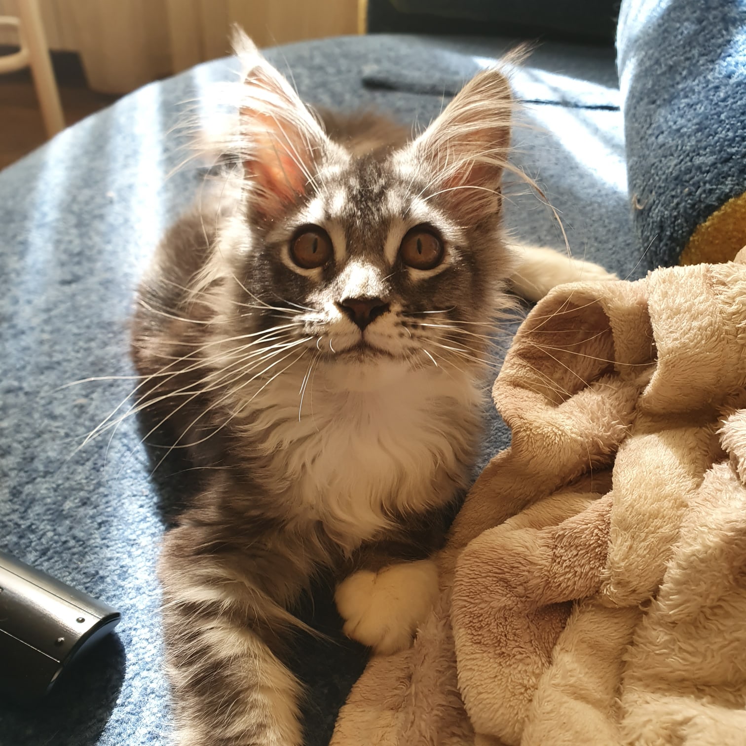 Вы куда собрались, а меня с собой не позвали