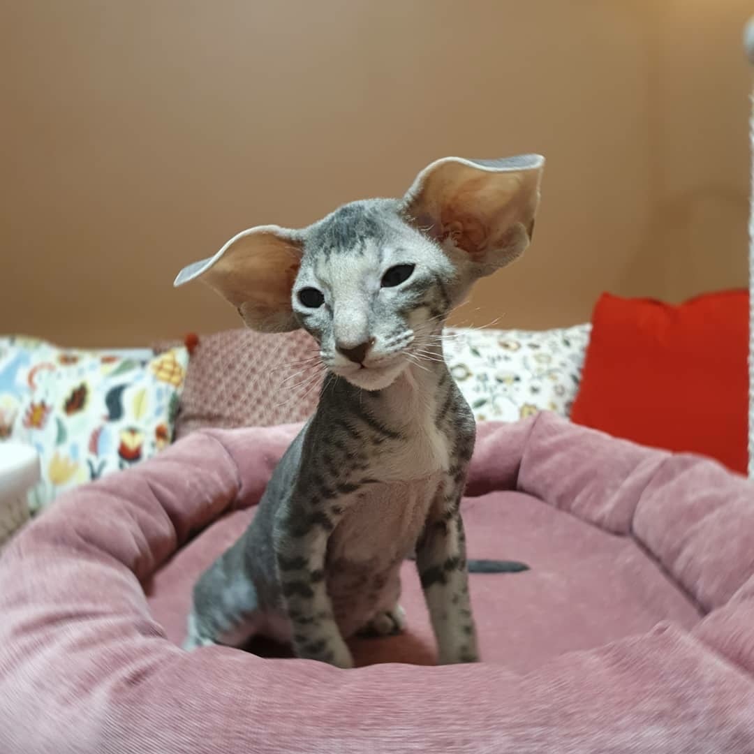 Только - проснулся