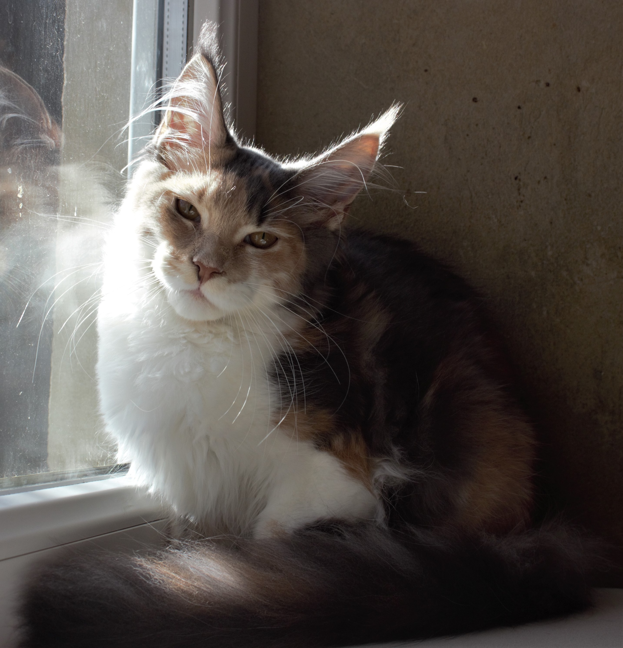 С солнышком поздоровалась и спать захотелось