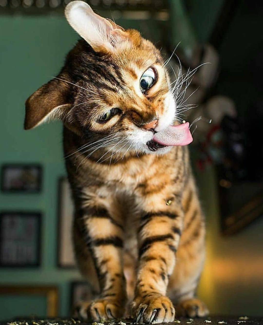 Лучше бы, я не пробовал семечки