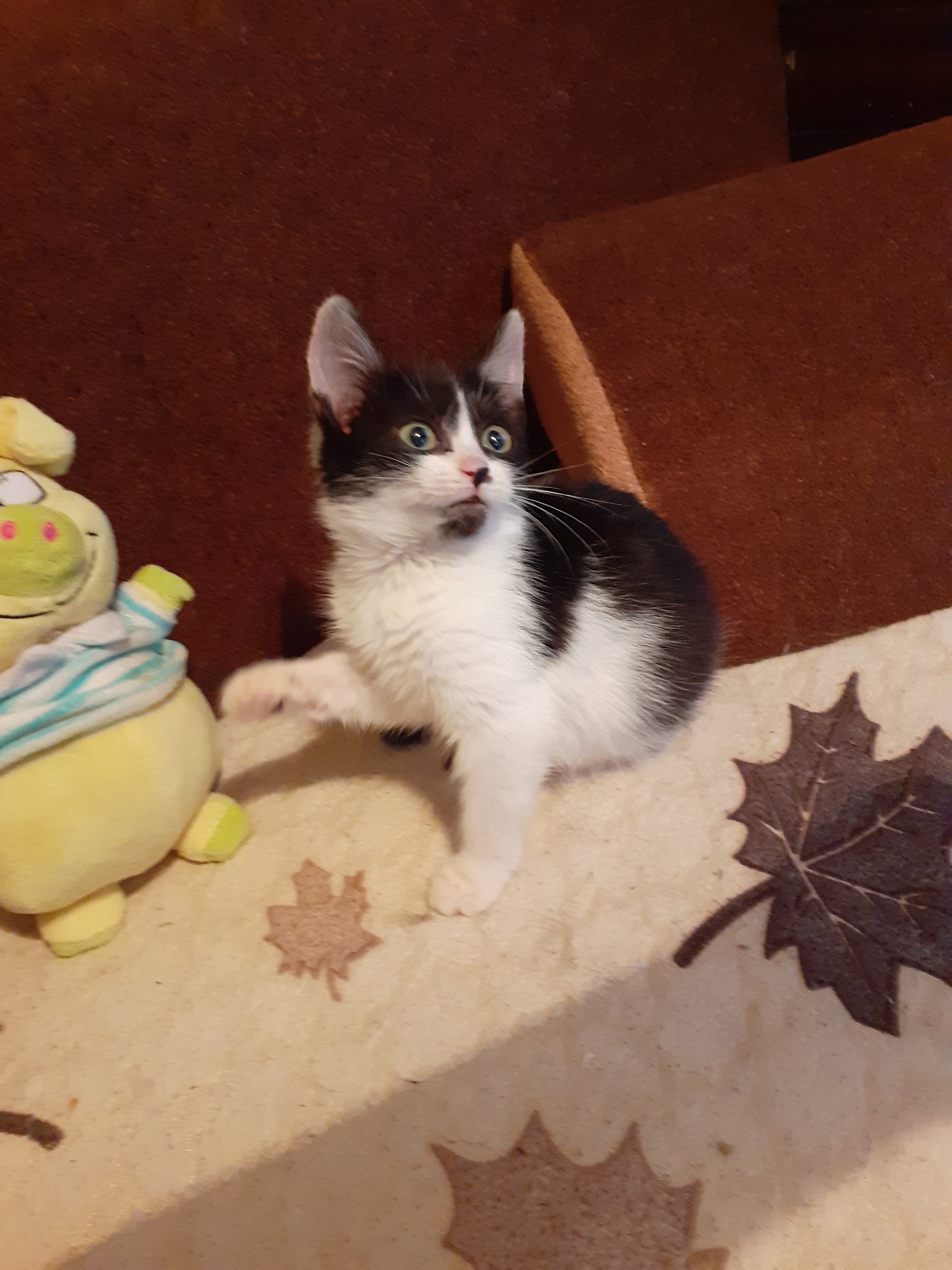 Вы предлагаете, мне дружить с этой свиньёй