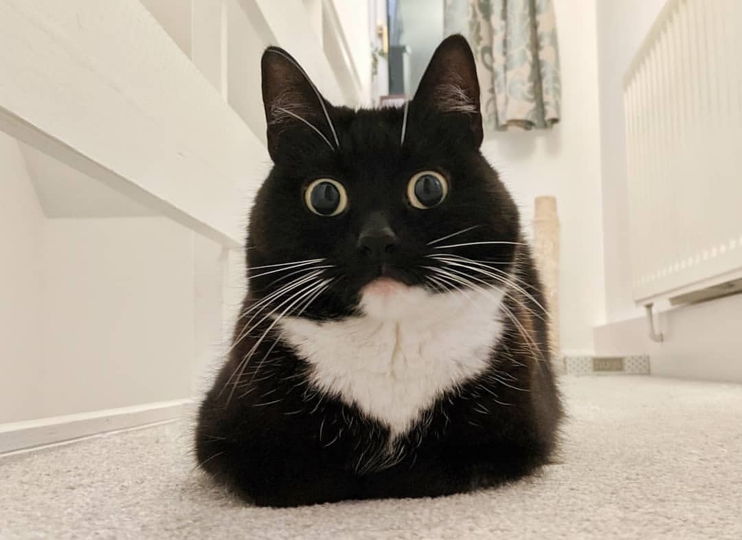 Долго спите, я вас заждался