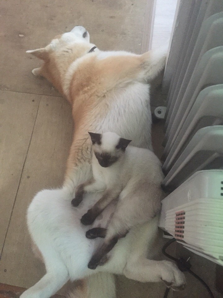 Тепло и комфортно