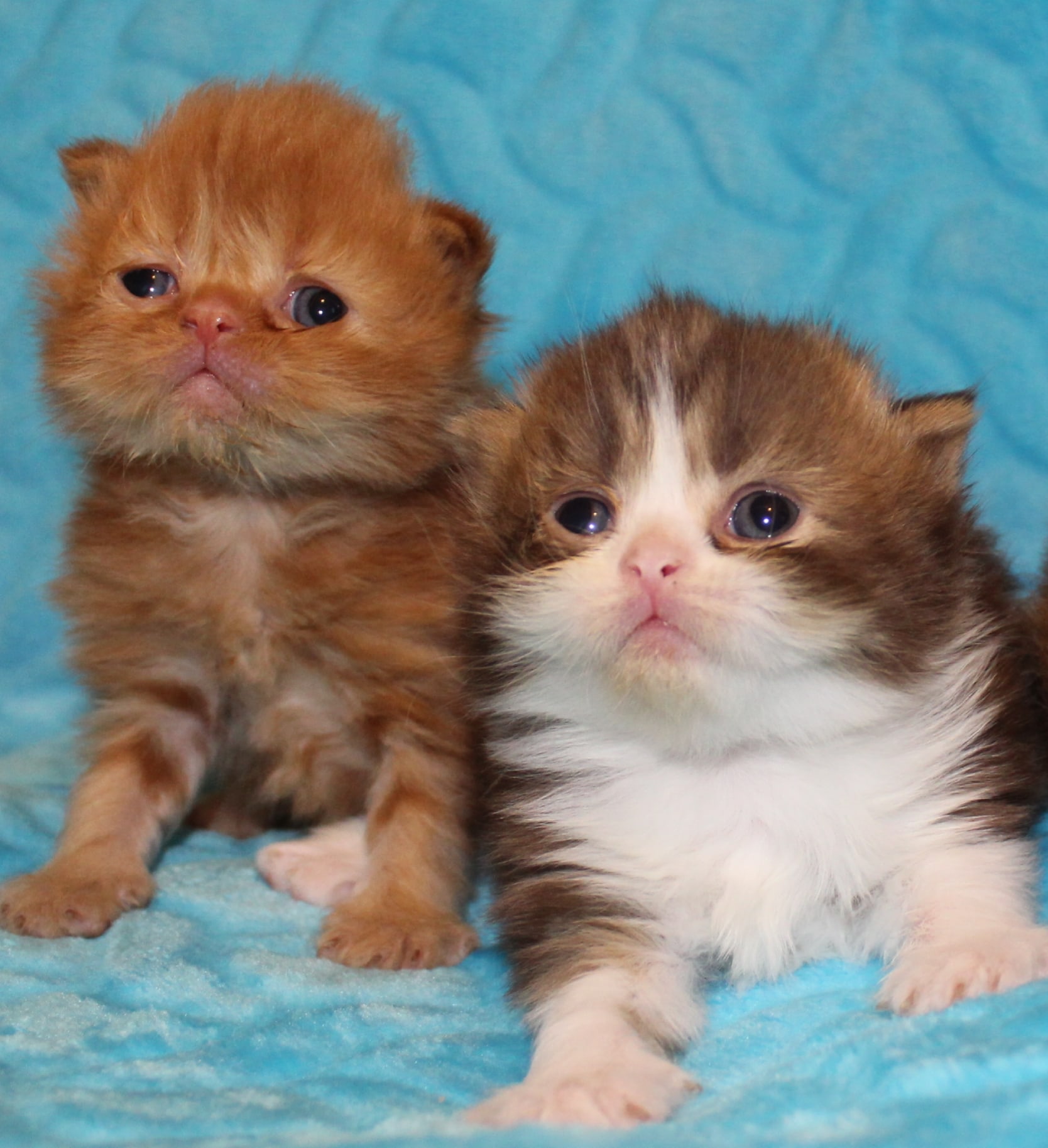 Кто, сегодня с нами будет заниматься