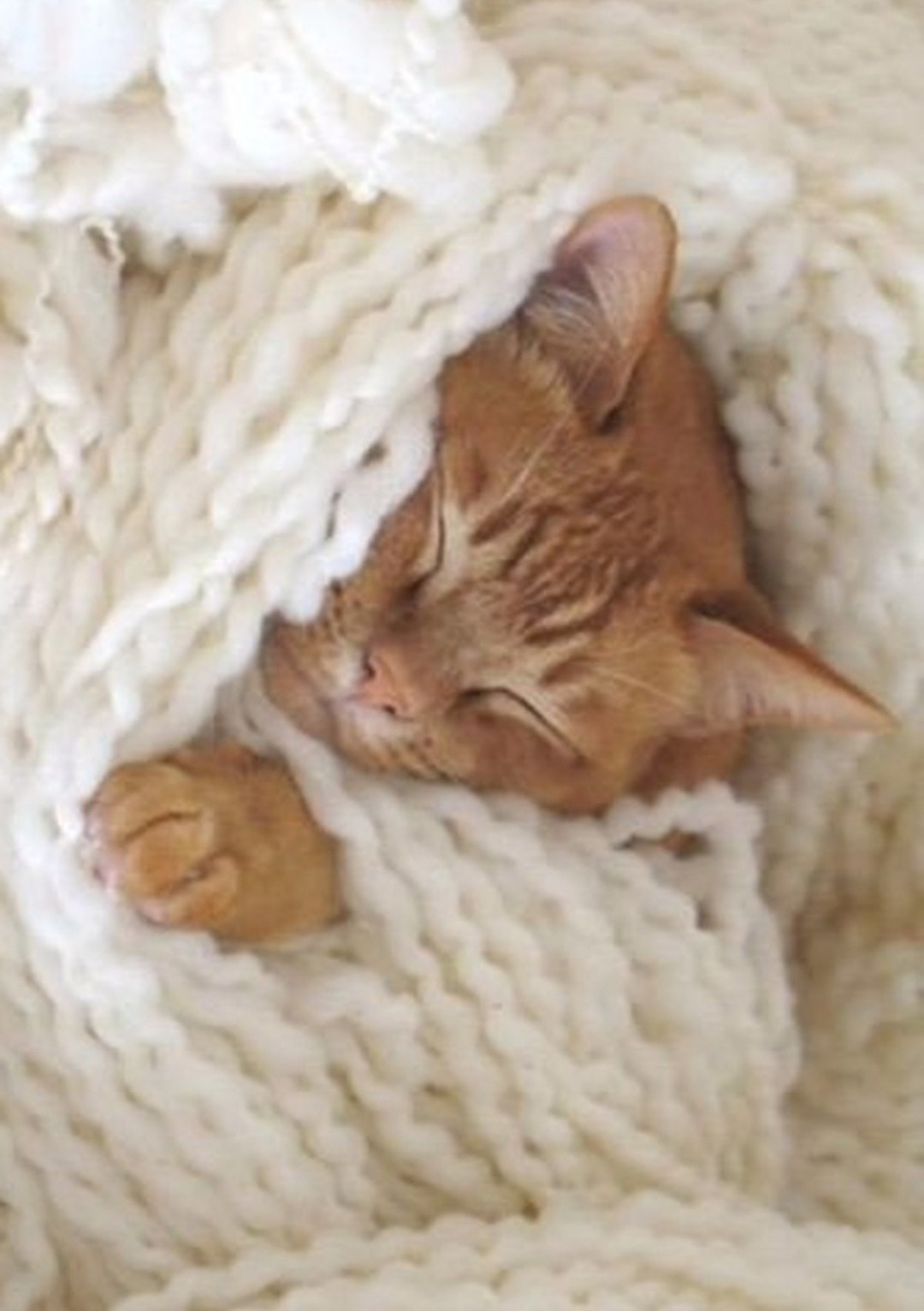 Похолодало, пришлось кутаться