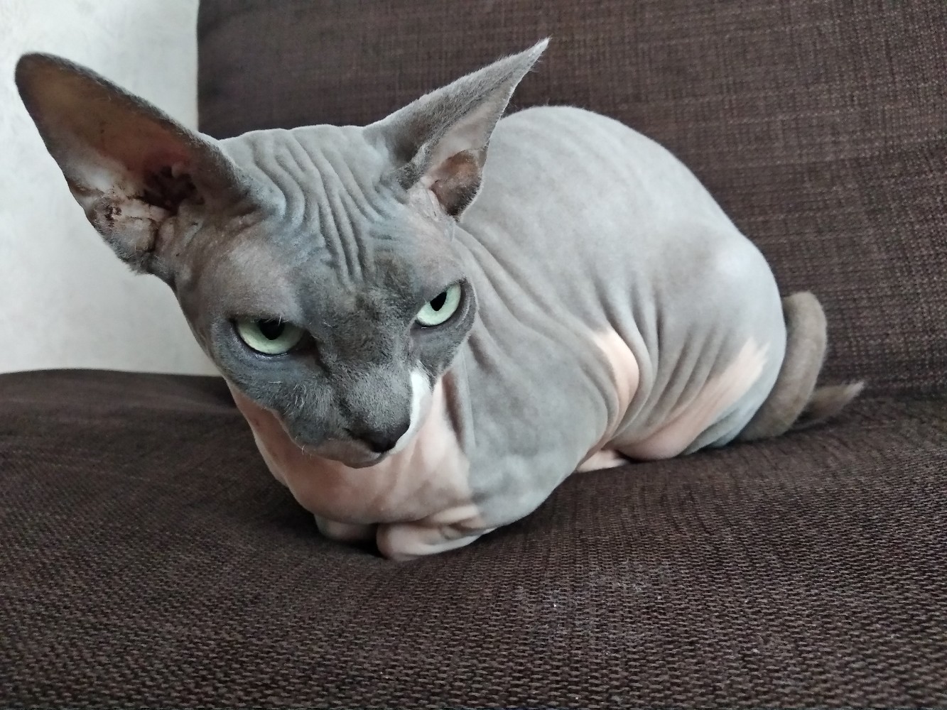 Настроение такое - же, как погода за окном