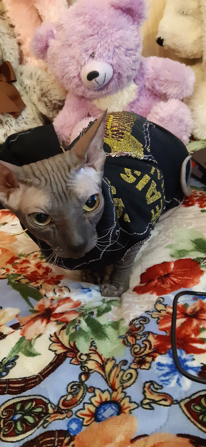 Зачем мне столько игрушек, лучше бы курточку купили