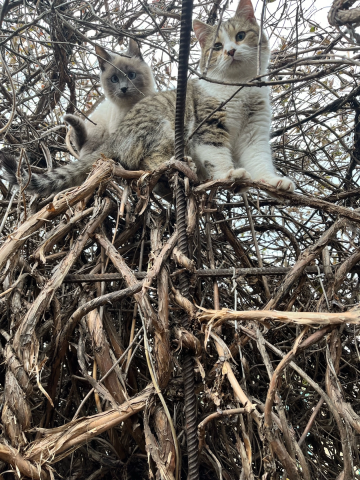 Нам всё интересно