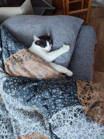 Утром, самые сладкие сны