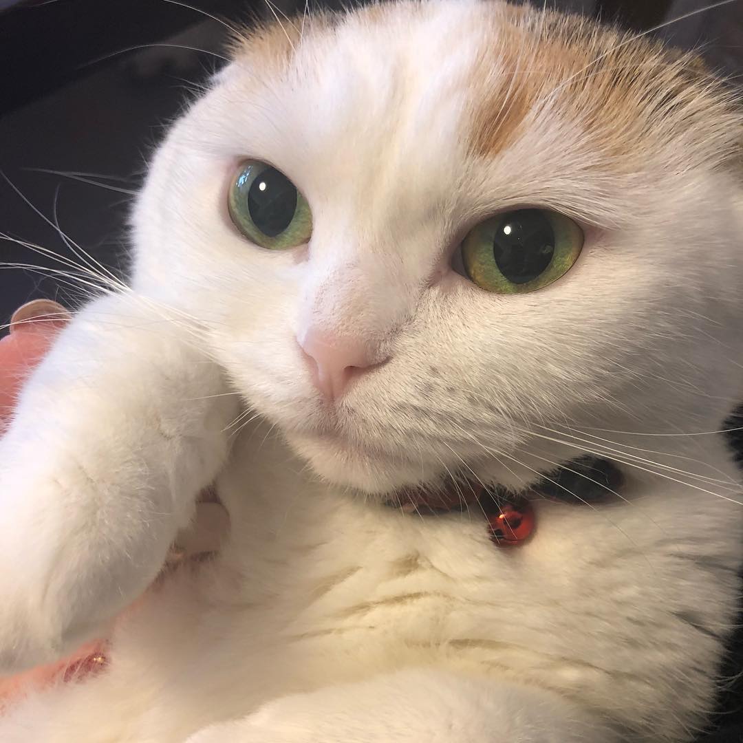 Я обижена, не трогайте меня