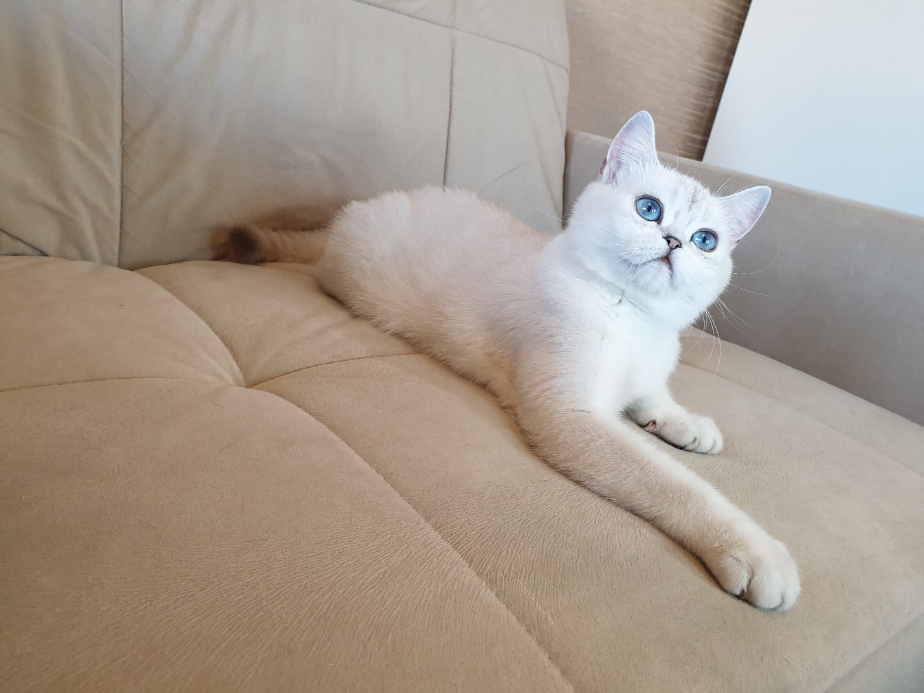 Вы сегодня меня на долго бросаете