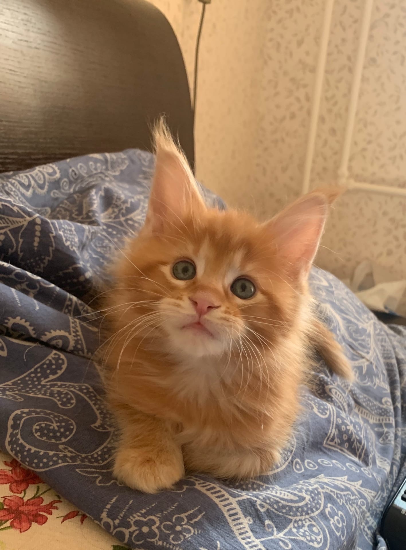 Очаровательное - солнышко