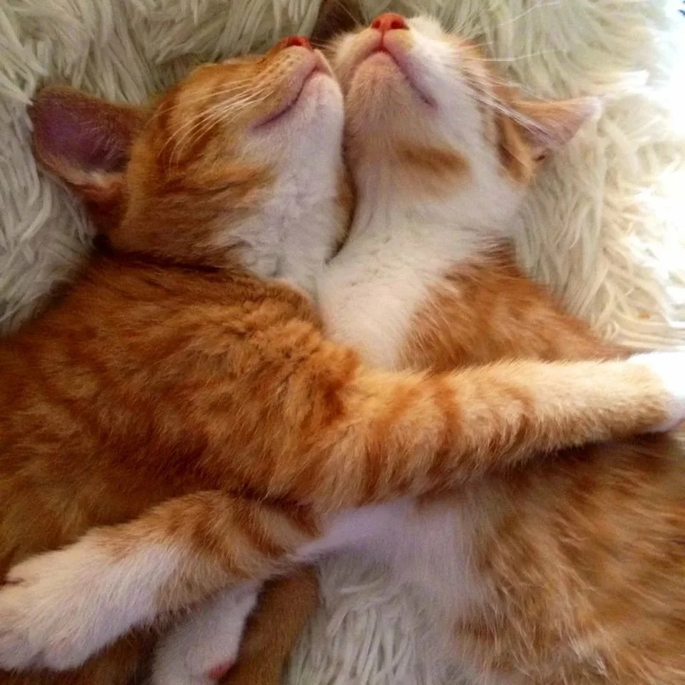 Любовь и дружба - в одном флаконе