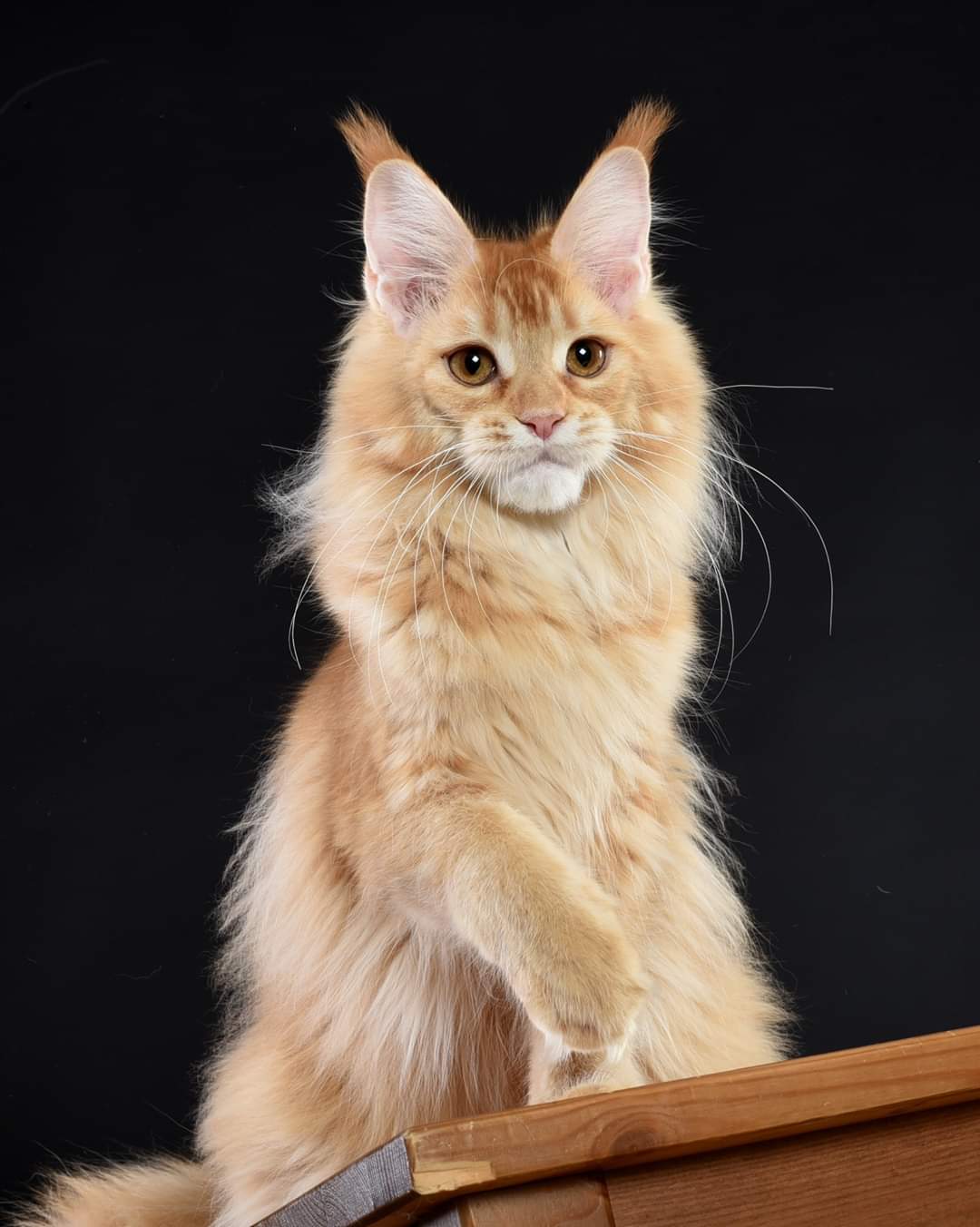 А, поздороваться