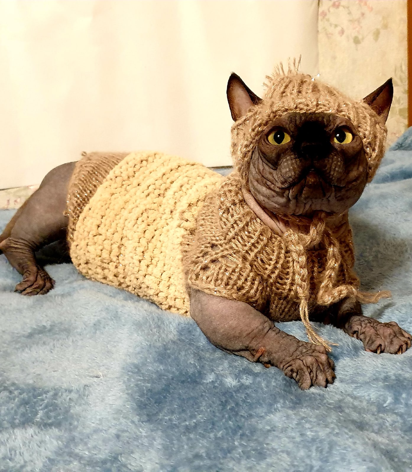 Когда же тепло будет, чтобы можно было раздеться