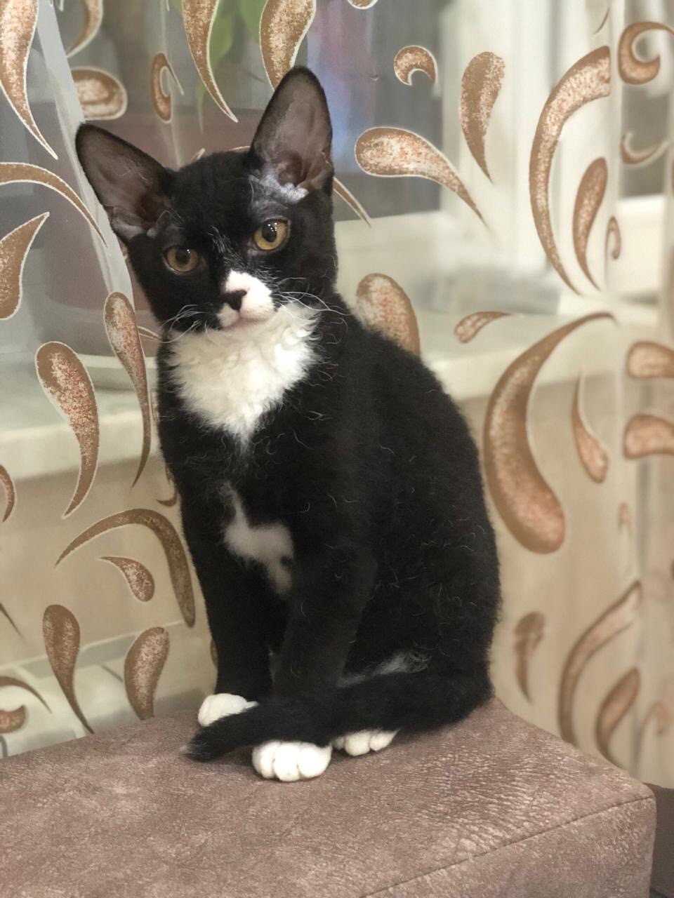 Вы где так долго гуляли, я же волновалась