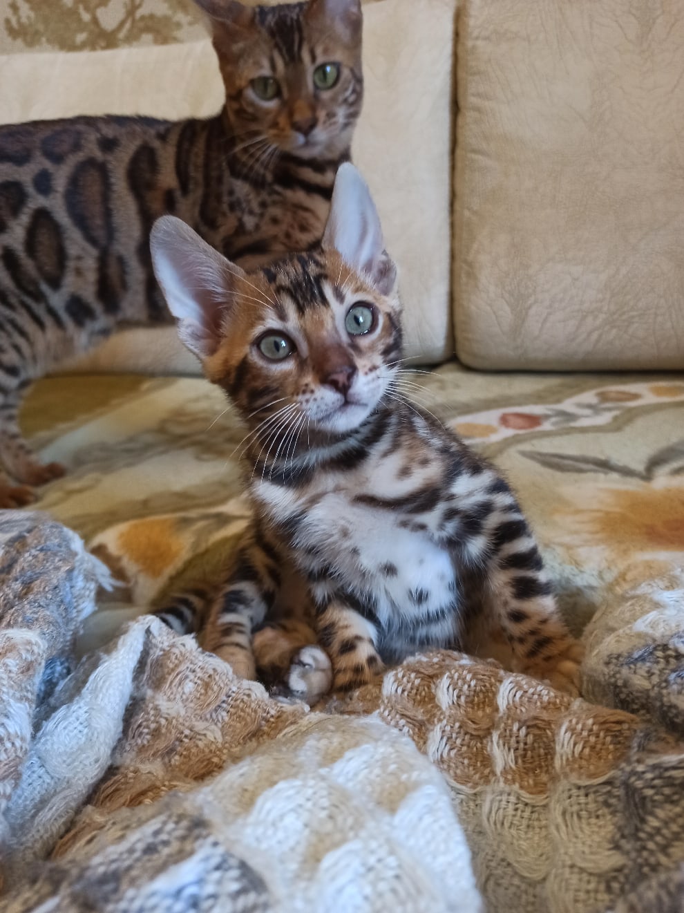 Я самостоятельный, мама за мной только присматривает