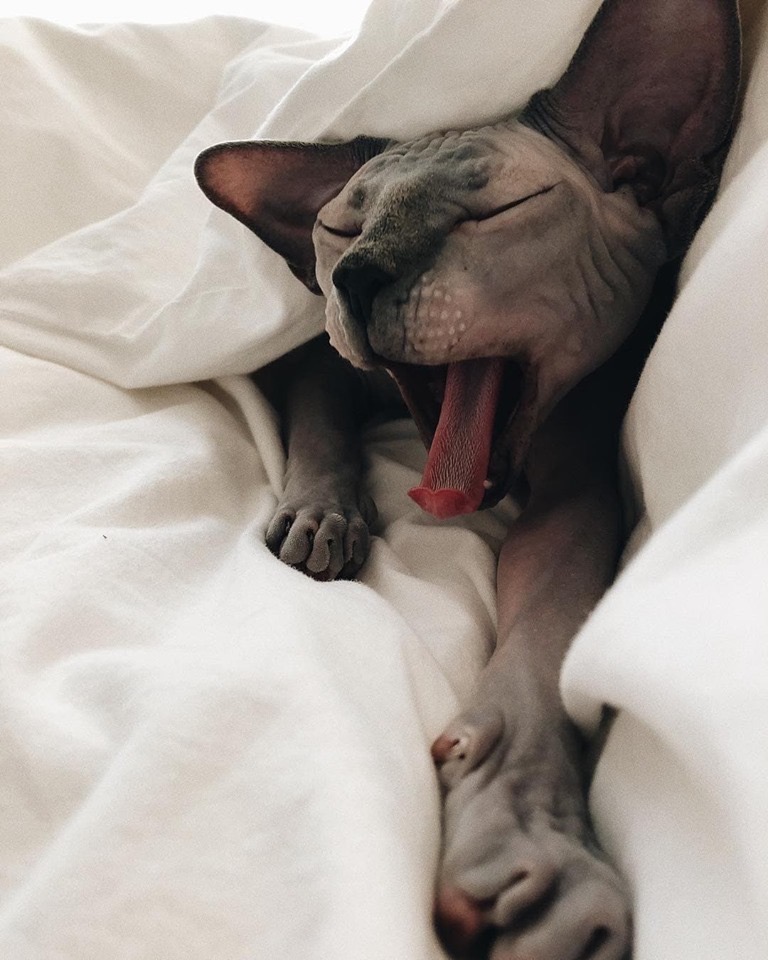 Вот оно и утро