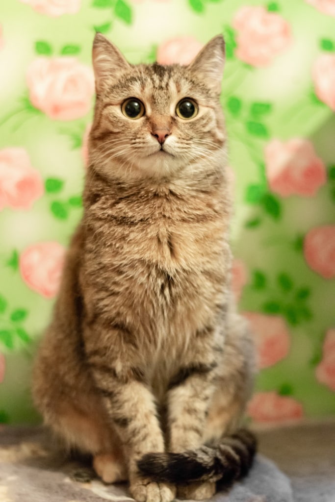 Куда бы вы не собрались, я с вами