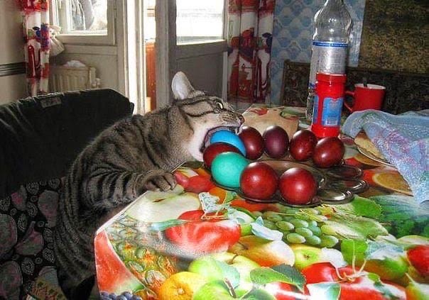 Одно яичко возьму, хозяйка и не заметит