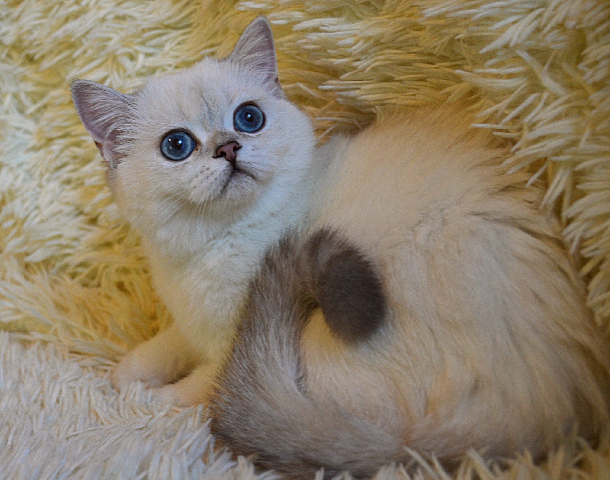 Вы на природу, а мне одной дома сидеть