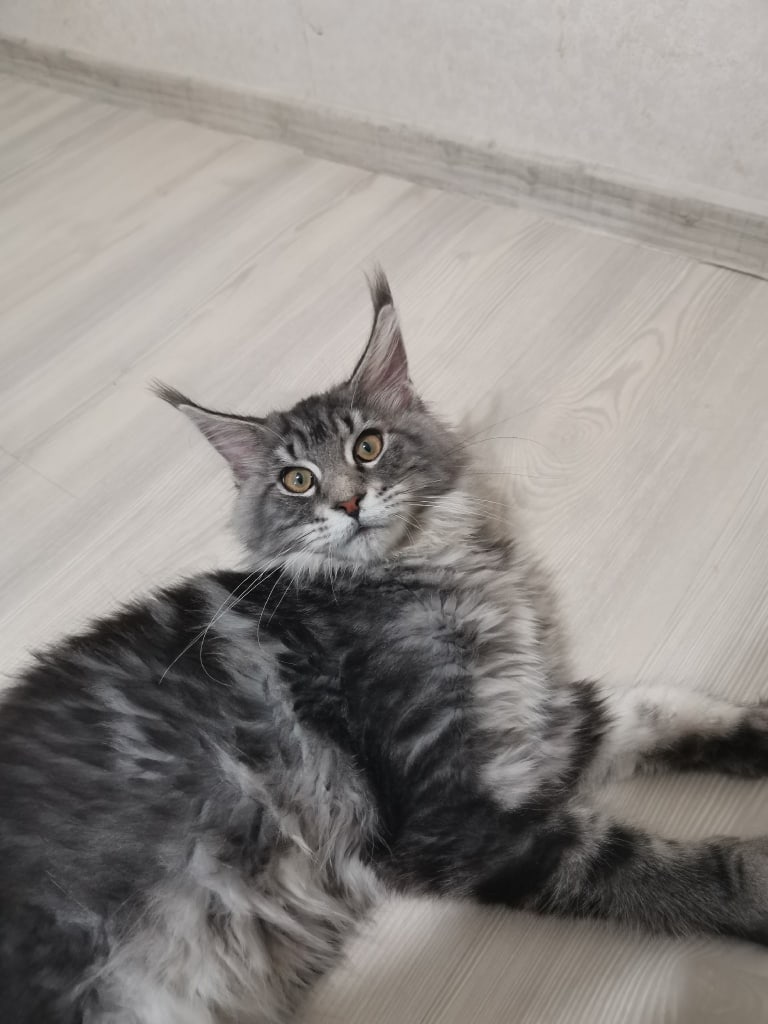 Под ноги смотрите, чтобы на меня не наступить