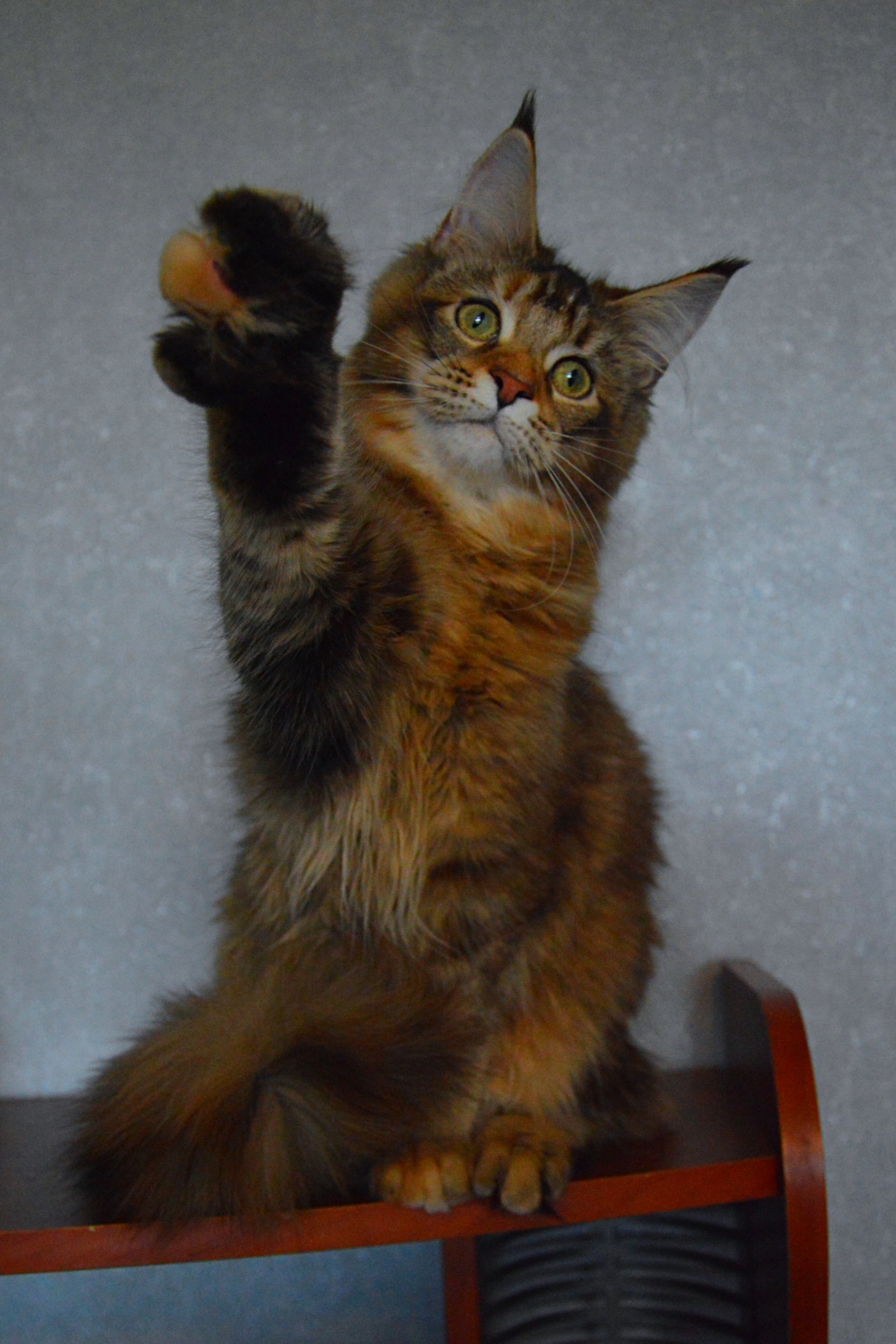 Пока, я буду очень сильно ждать вашего возвращения