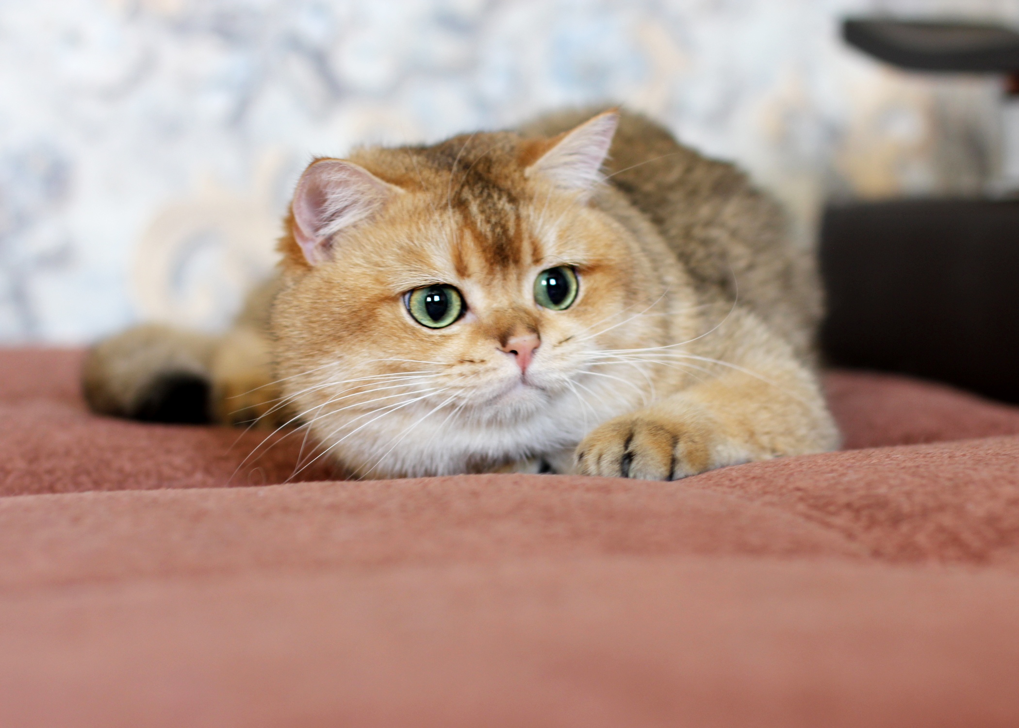 Что за шорох там, где меня пока нет