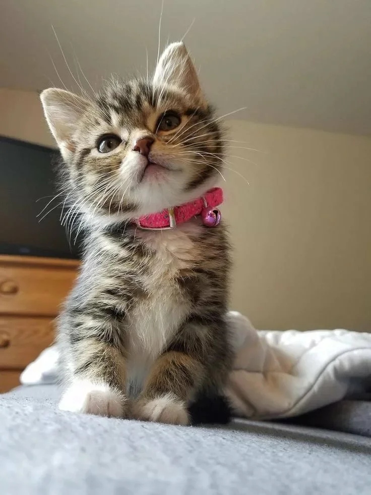 Хочу пожелать вам, самого доброго утра