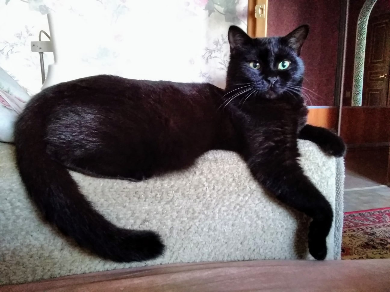 Разве не видно, кто тут хозяин