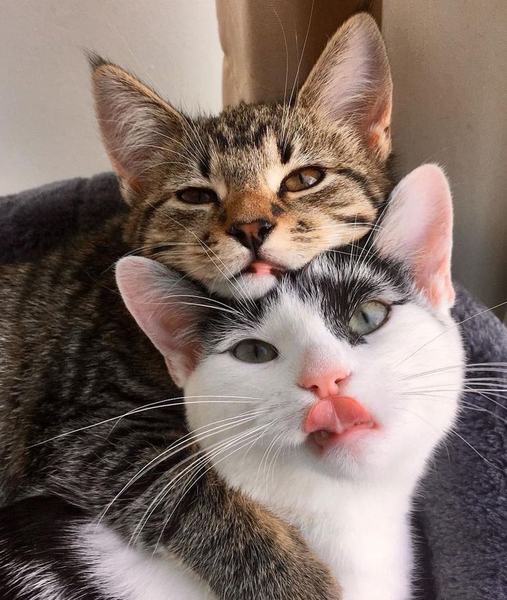 Ох и нравится нам наша жизнь