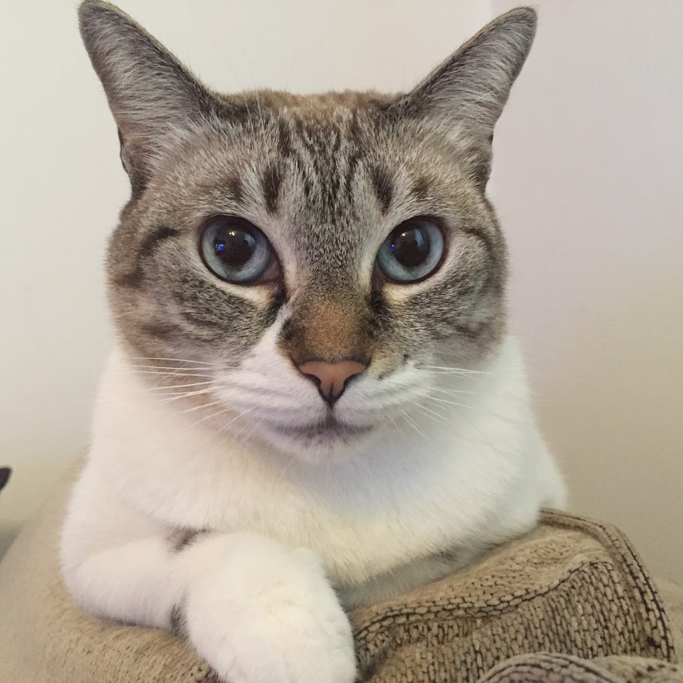 Говорите, я послушаю