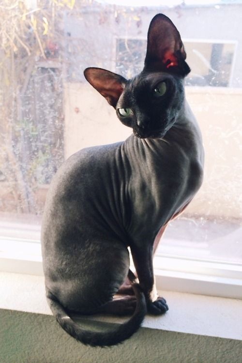 На улицу пока не пойду, пусть потеплеет