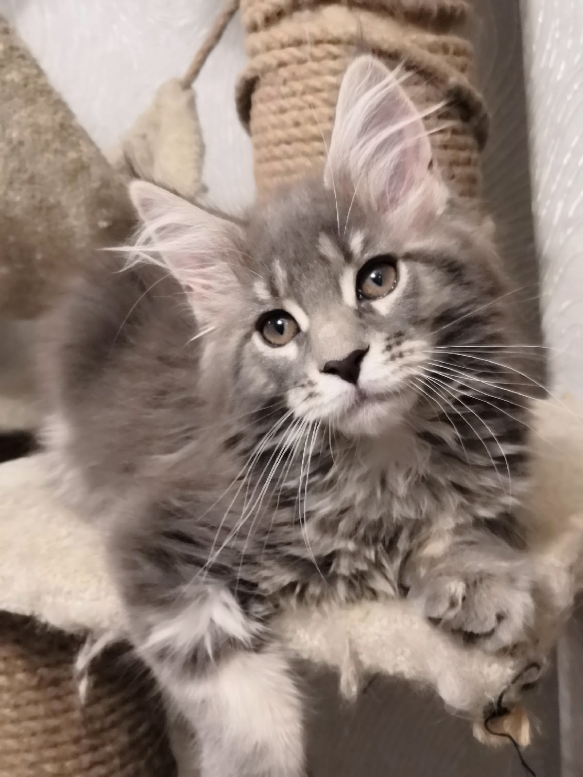 Давайте будем сегодня веселиться, воскресенье же