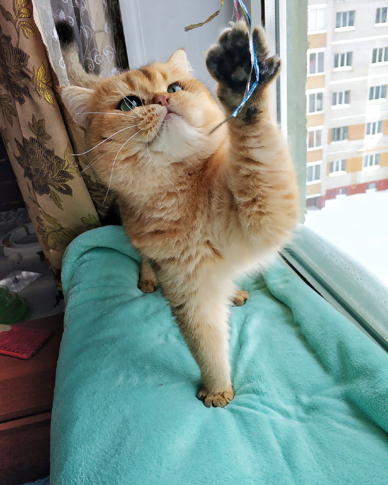 Настроение игровое, новогоднее