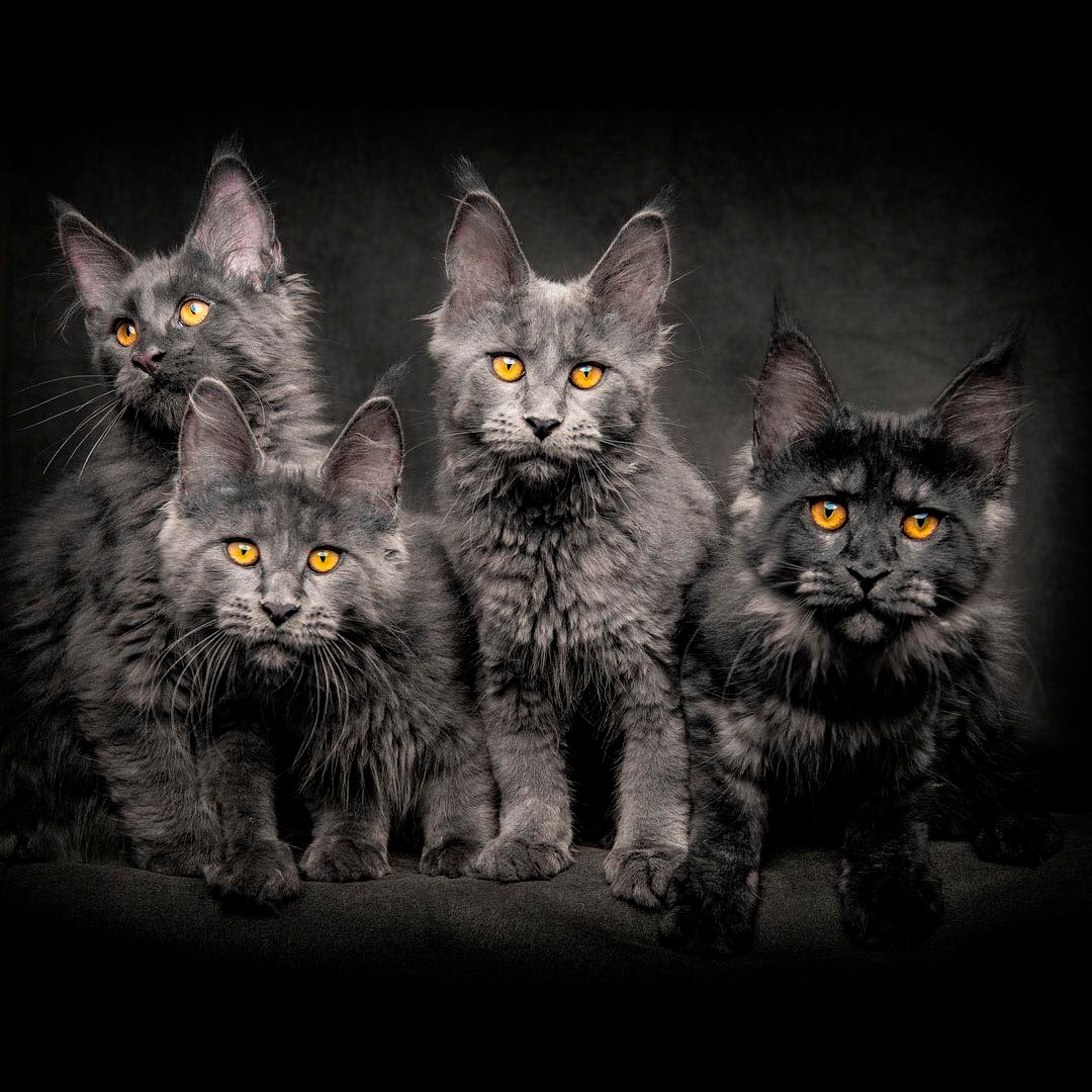 Просто так не обидим, разговариваем только по - делу