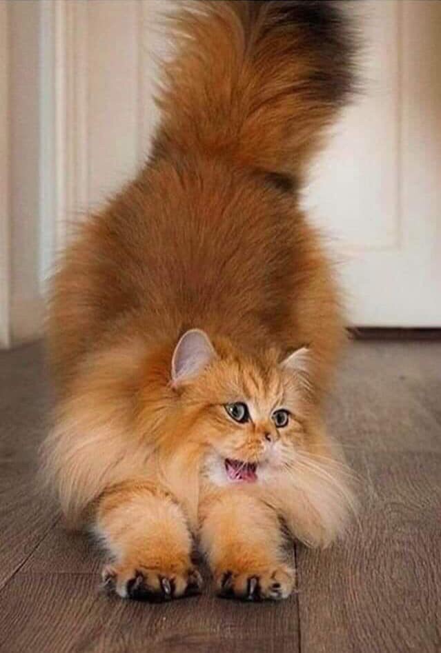 Хорошо поспала