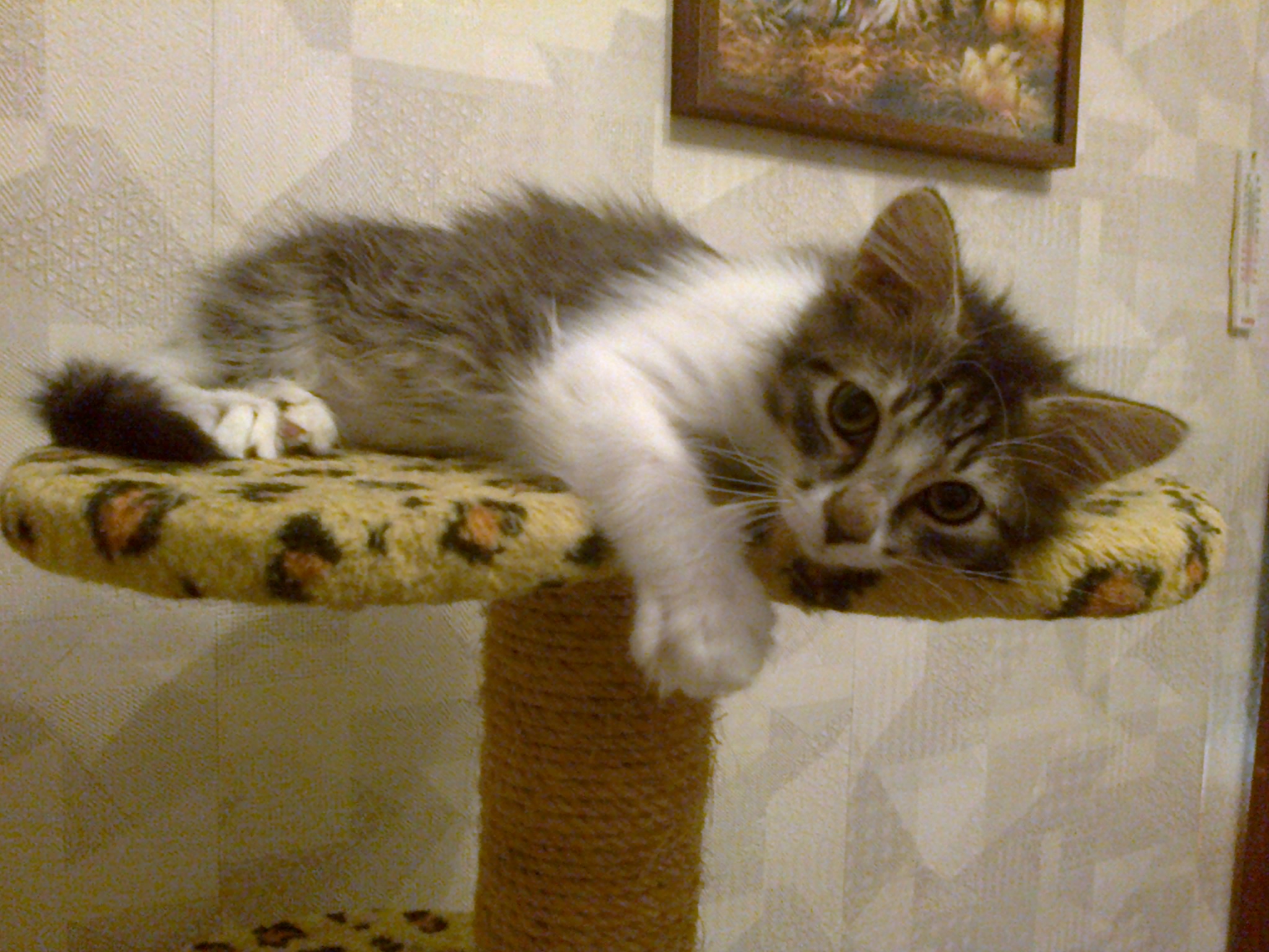 Лень, сегодня одолела