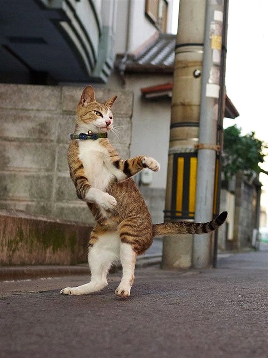 Как утро доброе начнётся, так и день пройдёт
