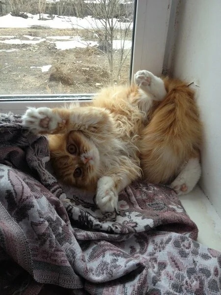 День кончается, пора и подурачиться